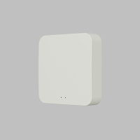 Конвертер WiFi-Zigbee/BLE для умного дома Denkirs Zigbee Control DK7402-WF