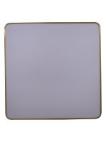 Потолочный светильник Zortes Monna ZRS.1209.07