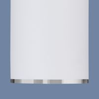 Накладной потолочный светодиодный светильник DLN101 GU10 WH белый Elektrostandard