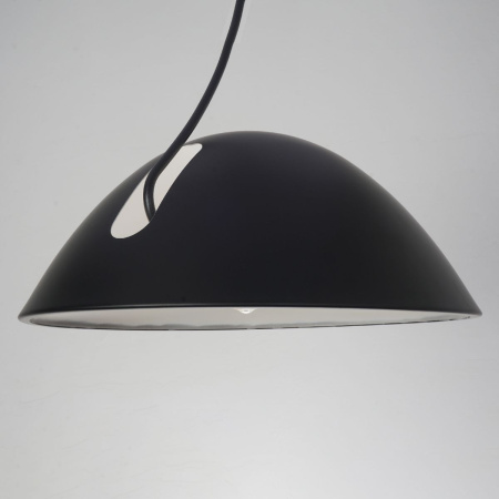 Подвесной светильник Zortes Korkee ZRS.1802.50