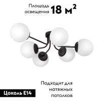 Потолочная люстра Vitaluce V4996-1/6PL
