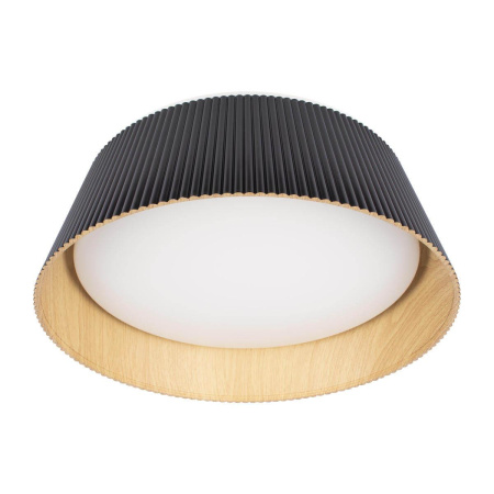 Потолочный светодиодный светильник Loft IT Evans 10224 Black