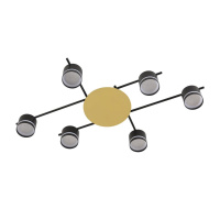 Потолочный светильник Lumion Comfi Agnia 8304/6C