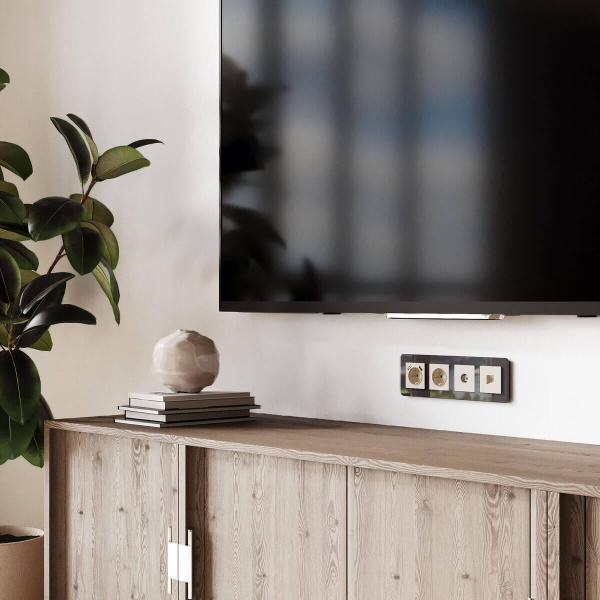 ТВ-розетка оконечная (айвори матовый) W1183062 Werkel