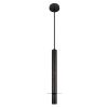 Подвесной светильник Loft IT Everest 10583B Black