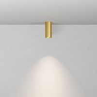 Потолочный светильник Maytoni Technical Focus C010CL-01MG-N