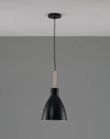 Подвесной светильник Moderli Toni V11433-1P