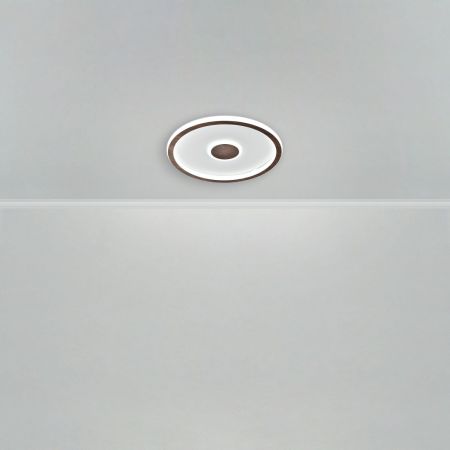 Потолочный светильник Freya Freya Orbit FR5421CL-L80BR