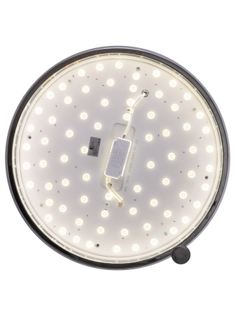 Потолочный светильник Zortes Gimpel ZRS.1209.16