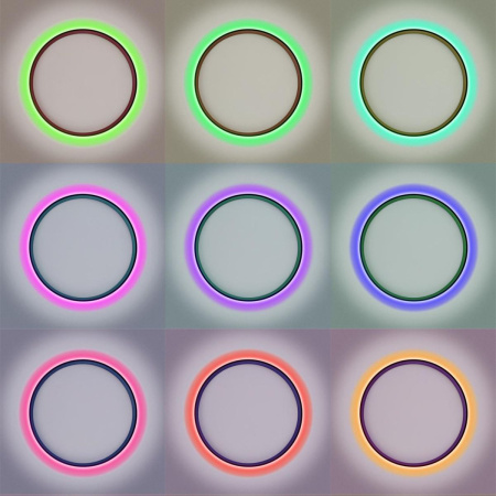 Потолочный светильник Citilux Etalon CL750321R