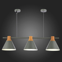 Подвесной светильник Evoluce Modica SLE125113-03