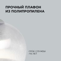 Подвесная люстра Apeyron 16-56