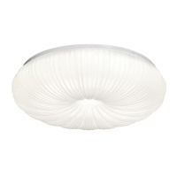 Настенно-потолочный светильник Sonex Pale Anix 7678/ELN