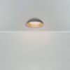 Потолочный светильник Freya Moonlight FR5277CL-L72GR