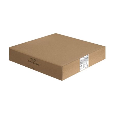 Потолочный светильник Freya Rua FR6160CL-L40B