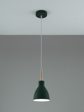 Подвесной светильник Moderli Toni V11805-1P