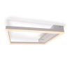 Потолочный светильник Freya Frame FR6084CL-L82W