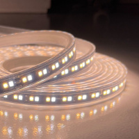 Светодиодная лента Favourite 24В SMD2835 19,8Вт/м 6500K 5м IP65 2001-62065