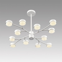 Люстра на штанге Lumion Comfi Torina 8265/12