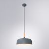 Подвесной светильник Arte Lamp Kayla A7102SP-1GY