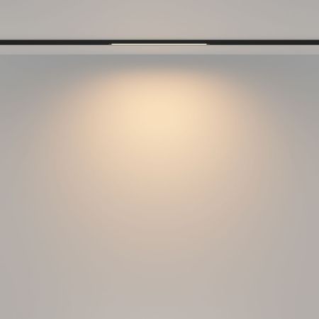 Трековый магнитный светильник Maytoni Basis TR173-1-8WTW-B
