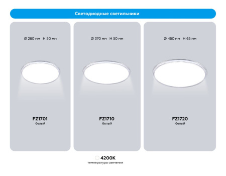 Потолочный светильник Ambrella Light Orbital FZ1710