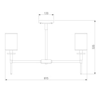 Люстра на штанге Eurosvet Brielle 60132/8 латунь
