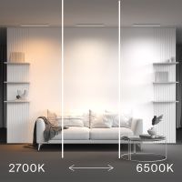 Трековый магнитный светильник Maytoni Technical Basis Radity TR080-4-20WTW-W