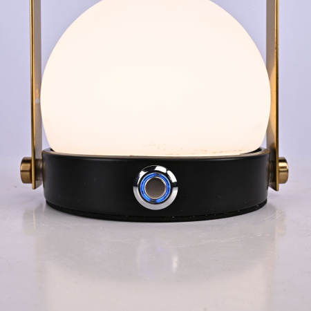 Настольная лампа ImperiumLoft Tangli 302469-22