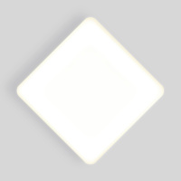Накладной потолочный светодиодный светильник DLS043 Elektrostandard