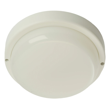 Настенно-потолочный светильник Feron AL3008 48997