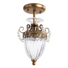 Потолочный светильник Arte Lamp Schelenberg A4410PL-1SR