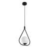 Подвесной светильник Arte Lamp Matisse A7764SP-1BK