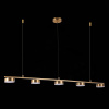 Подвесная светодиодная люстра ST Luce Pances SL6000.303.05