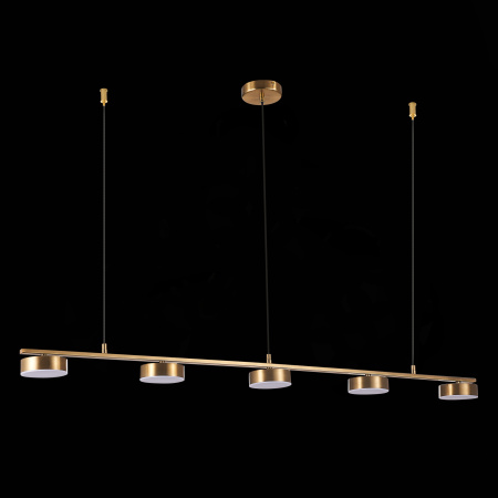 Подвесная светодиодная люстра ST Luce Pances SL6000.303.05