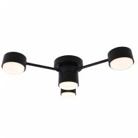 Потолочный светильник Feron AL268 53098