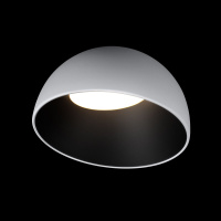 Потолочный светильник Loft IT Egg 10197/350 WB