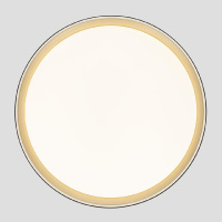 Потолочный светильник Citilux Boss CL751451G