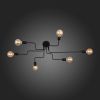 Потолочная люстра ST Luce Ano SL419.442.06