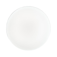 Настенно-потолочный светильник Sonex Mini Smalli 3016/CLN