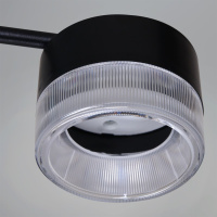 Потолочная люстра Reluce 19490-0.4-6+6 Black