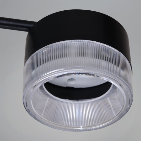 Потолочная люстра Reluce 19490-0.4-6+6 Black