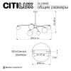 Люстра на штанге Citilux Fisher CL218163