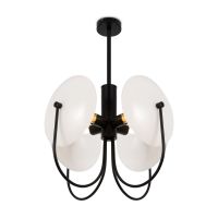 Потолочный светильник Freya Ellipse FR5320PL-04B