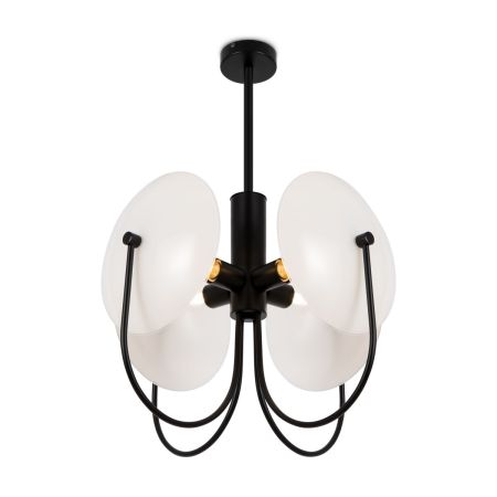 Потолочный светильник Freya Ellipse FR5320PL-04B