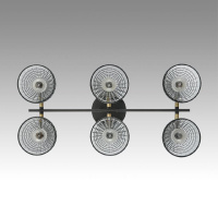 Потолочная люстра Lumion Anriya 8044/6C