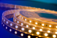 Светодиодная лента DesignLed DSG560-12-WW-65 000519