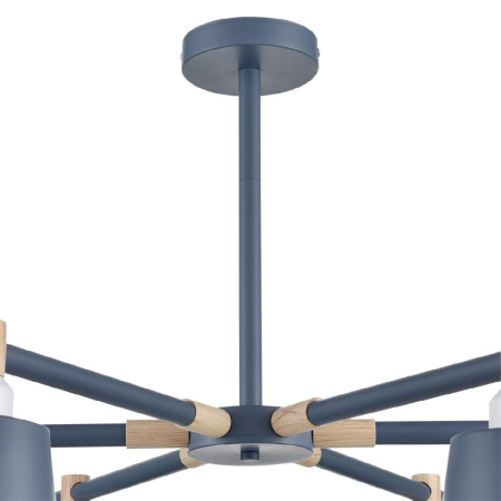 Люстра на штанге Lumion Rosalina 8098/6C