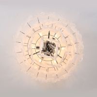 Потолочный светильник Indigo Bellezza 12059/9C Chrome V000593