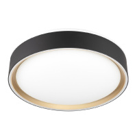 Потолочный светильник Citilux Boss CL751251G